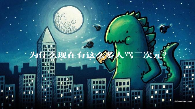 为什么现在有这么多人骂二次元？